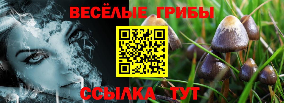 Псилоцибиновые грибы MAGIC MUSHROOMS Киселёвск